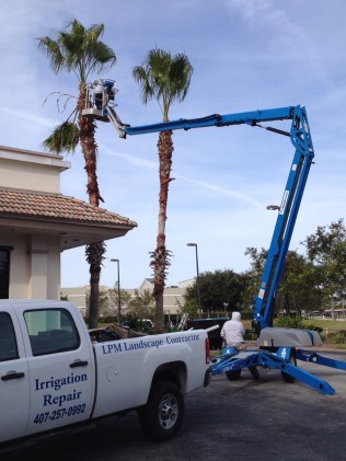 A worker on a blue hydraulic lift trims a tall palm tree outside a building. A white truck labeled "Irrigation Repair" and "LPM Landscape Contractor" is parked nearby.